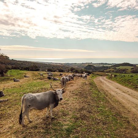 Agriturismo Morani Санта-Севера Экстерьер фото