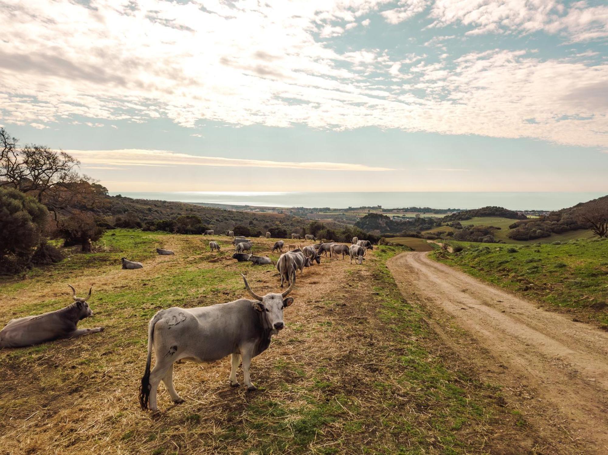 Agriturismo Morani Санта-Севера Экстерьер фото